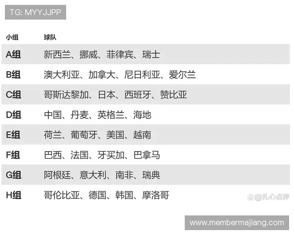 世界杯新西兰与埃及比赛纪念品全解析，帮助球迷收藏珍贵比赛纪念品