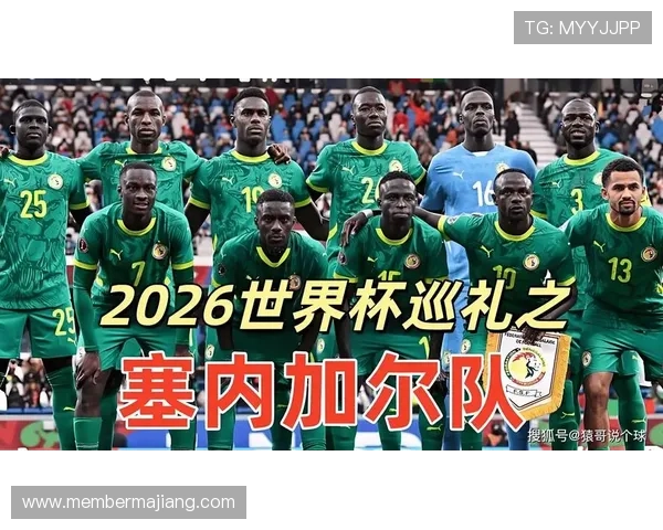 世界杯法国对塞内加尔比赛中防守能力的战术分析及关键防守球员的表现亮点